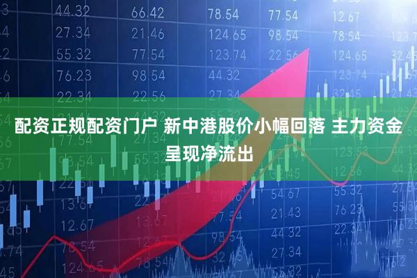 配资正规配资门户 新中港股价小幅回落 主力资金呈现净流出