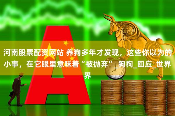 河南股票配资网站 养狗多年才发现，这些你以为的小事，在它眼里意味着“被抛弃”_狗狗_回应_世界