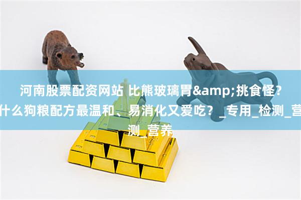 河南股票配资网站 比熊玻璃胃&挑食怪？选什么狗粮配方最温和、易消化又爱吃？_专用_检测_营养